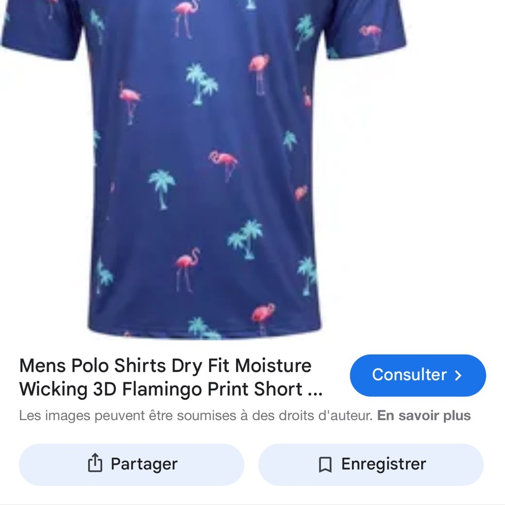 Men's Blue Flamingo Print Shirt